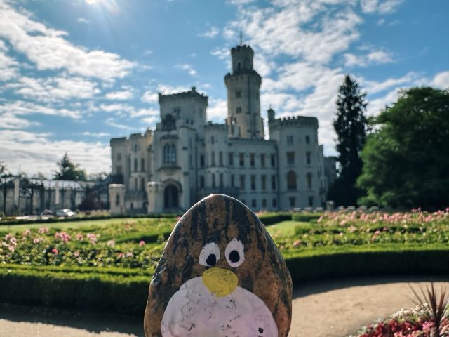 Hand-painted penguin stone #88 hidden at The State Chateau of Hluboka, Hluboka nad Vltavou, Czechia (photo 3 of 5)