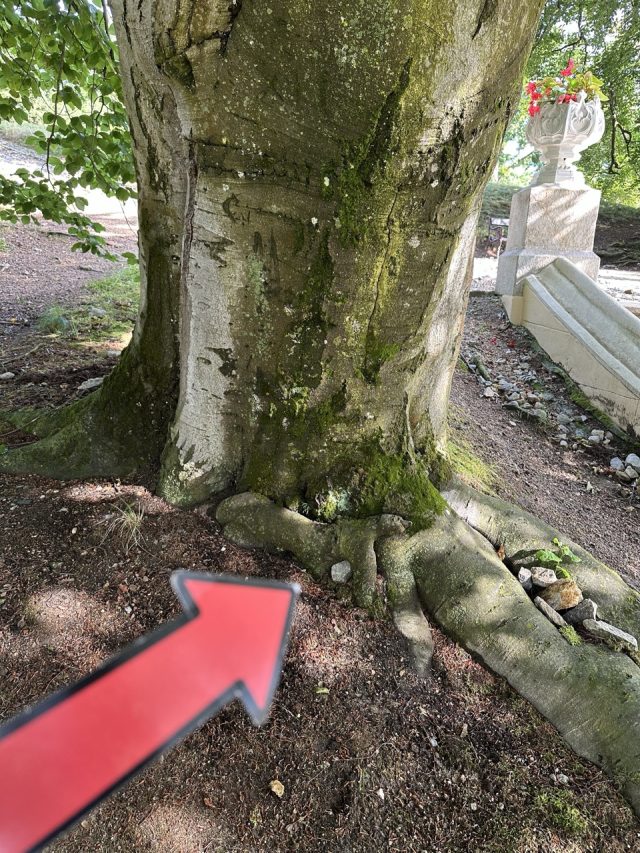 Hand-painted penguin stone #88 hidden at The State Chateau of Hluboka, Hluboka nad Vltavou, Czechia (photo 5 of 5)