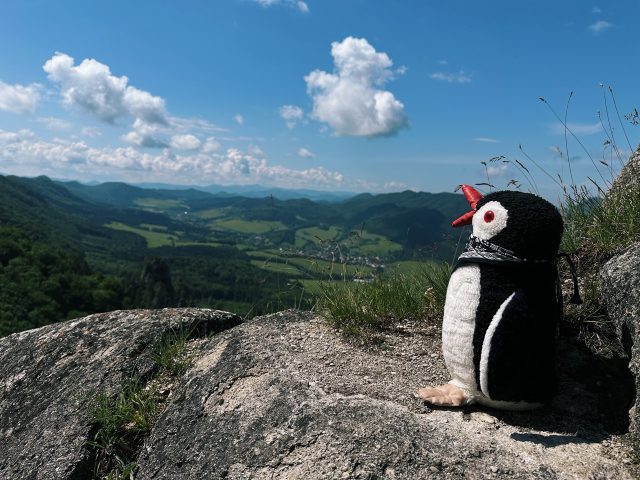 Hand-painted penguin stone #99 hidden at Sunset Viewpoint, Sulov Rocks, Slovakia (photo 2 of 5)