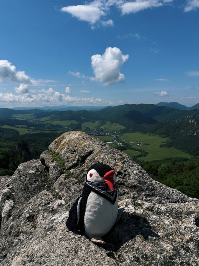 Hand-painted penguin stone #99 hidden at Sunset Viewpoint, Sulov Rocks, Slovakia (photo 3 of 5)