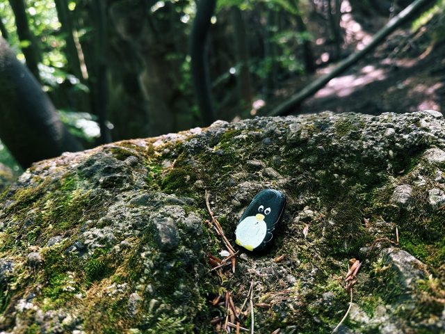 Hand-painted penguin stone #99 hidden at Sunset Viewpoint, Sulov Rocks, Slovakia (photo 5 of 5)