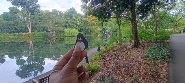 Hand-painted penguin stone #330 hidden at The Botanic Gardens, Singapore, Singapore (photo 2 of 5)