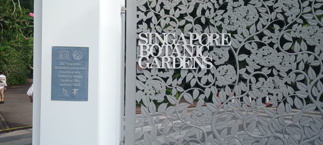 Hand-painted penguin stone #330 hidden at The Botanic Gardens, Singapore, Singapore (photo 5 of 5)