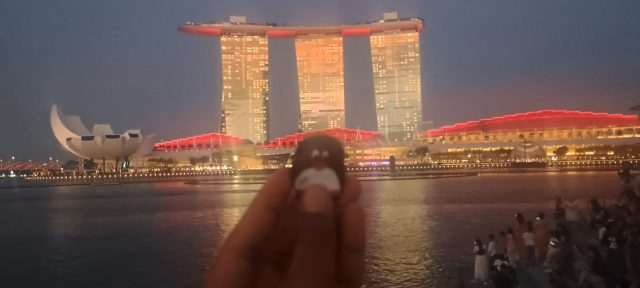 Hand-painted penguin stone #403 hidden at Merlion Park, Singapore, Singapore (photo 5 of 5)