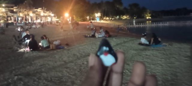 Hand-painted penguin stone #438 hidden at Sentosa Island, Singapore, Singapore (photo 5 of 5)