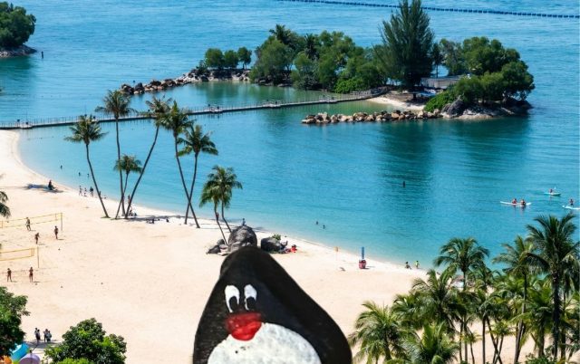 Hand-painted penguin stone #438 hidden at Sentosa Island, Singapore, Singapore