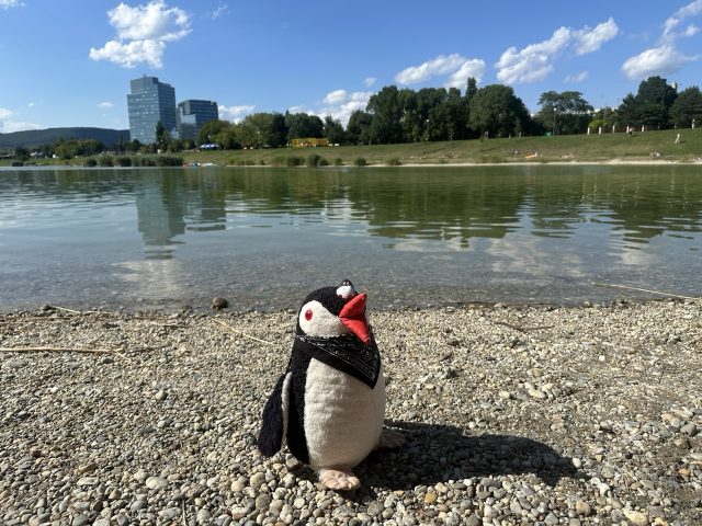 Ručne maľovaný tučniakový kameň č. 450 ukrytý na mieste Kuchajda, Bratislava, Slovensko (fotka 3 z 5)