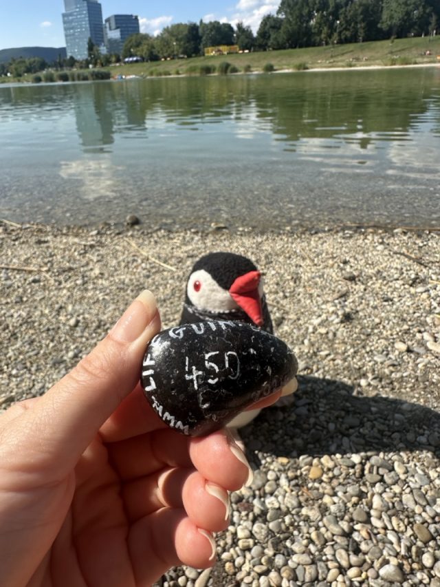 Ručne maľovaný tučniakový kameň č. 450 ukrytý na mieste Kuchajda, Bratislava, Slovensko (fotka 4 z 5)