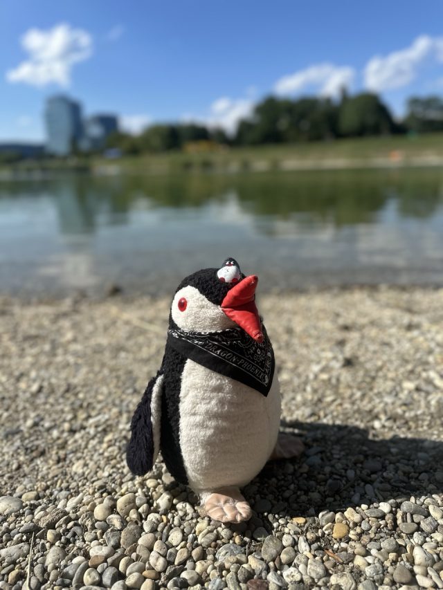 Ručne maľovaný tučniakový kameň č. 450 ukrytý na mieste Kuchajda, Bratislava, Slovensko (fotka 5 z 5)