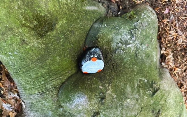 Hand-painted penguin stone #480 hidden at Random Trees, Little Carpathians, Slovakia