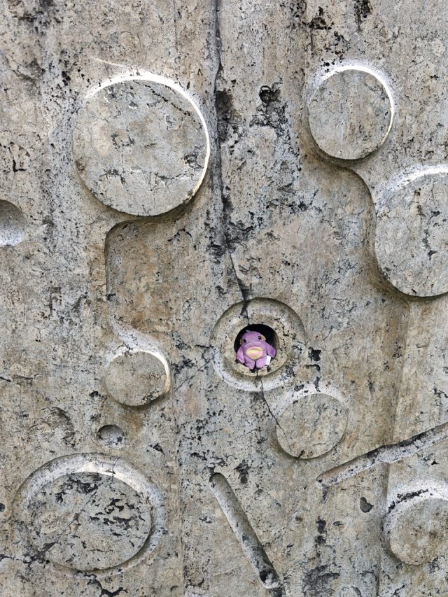 Hand-painted penguin stone #498 hidden at Kupele Lucky, Choca, Slovakia (photo 2 of 5)