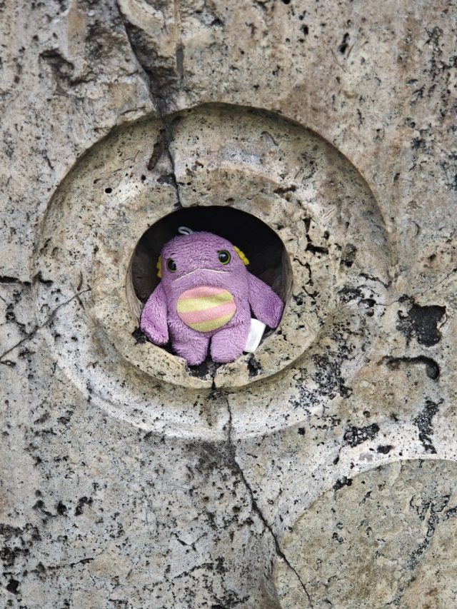 Hand-painted penguin stone #498 hidden at Kupele Lucky, Choca, Slovakia (photo 3 of 5)