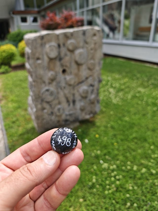 Hand-painted penguin stone #498 hidden at Kupele Lucky, Choca, Slovakia (photo 5 of 5)