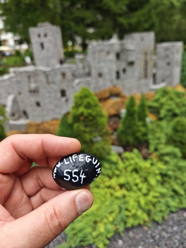 Hand-painted penguin stone #554 hidden at Park Mini Slovakia, Janska Valley, Slovakia (photo 2 of 5)