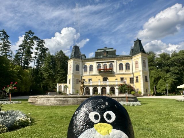 Hand-painted penguin stone #564 hidden at Chateau Betliar, Betliar, Slovakia (photo 2 of 5)