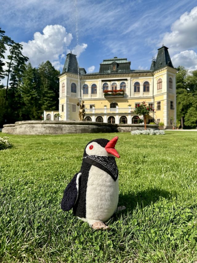 Hand-painted penguin stone #564 hidden at Chateau Betliar, Betliar, Slovakia (photo 3 of 5)