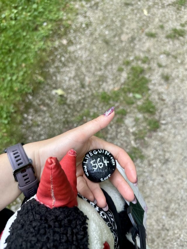 Hand-painted penguin stone #564 hidden at Chateau Betliar, Betliar, Slovakia (photo 5 of 5)