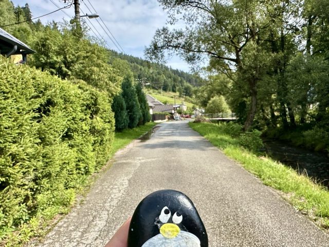 Ručne maľovaný tučniakový kameň č. 577 ukrytý na mieste Scenic Viewpoint, Smolnik, Slovensko (fotka 4 z 5)
