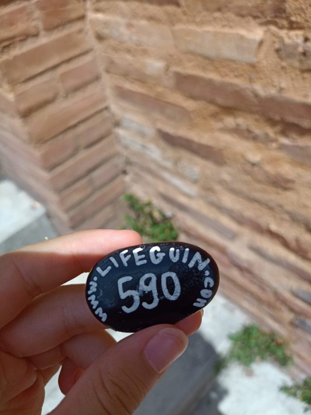 Hand-painted penguin stone #590 hidden at Wall, Toulouse, France (photo 5 of 5)