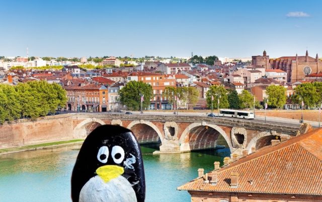 Hand-painted penguin stone #590 hidden at Wall, Toulouse, France