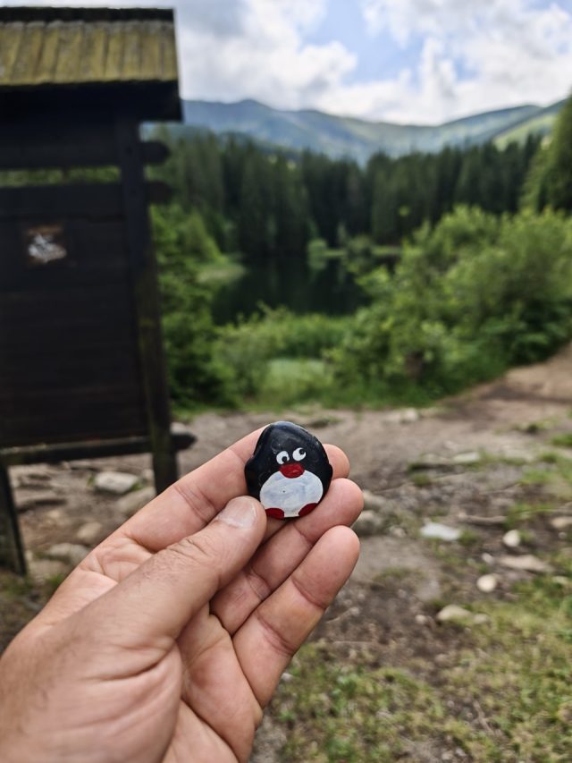 Hand-painted penguin stone #611 hidden at Vrbicke Pleso, Low Tatras, Slovakia (photo 2 of 5)