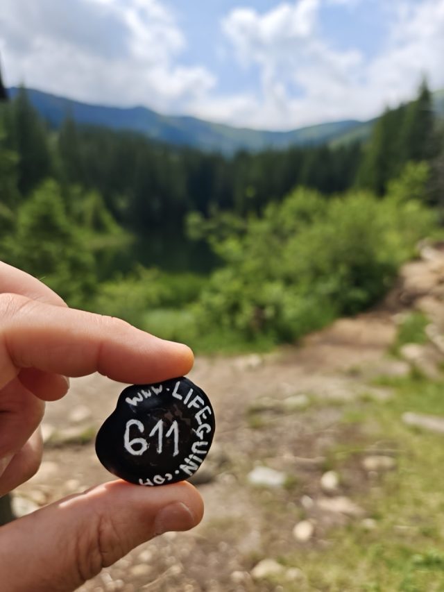 Hand-painted penguin stone #611 hidden at Vrbicke Pleso, Low Tatras, Slovakia (photo 3 of 5)