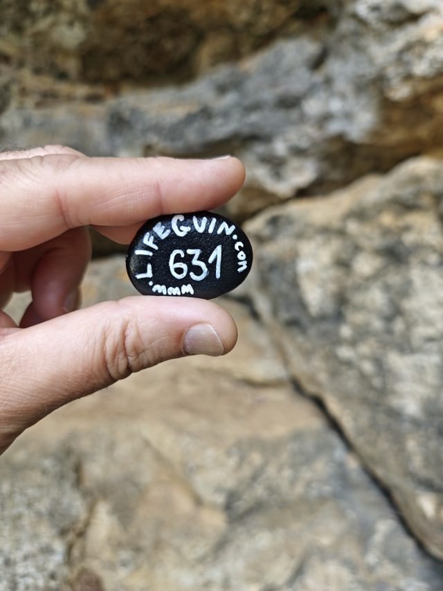 Hand-painted penguin stone #631 hidden at Lucanske Travertiny, Lucky, Slovakia (photo 3 of 5)