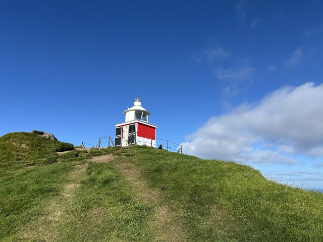 Hand-painted penguin stone #1023 hidden at Kallur Lighthouse, Kalsoy, Faroe Islands (photo 2 of 5)