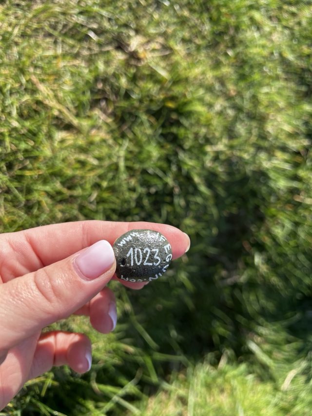 Hand-painted penguin stone #1023 hidden at Kallur Lighthouse, Kalsoy, Faroe Islands (photo 4 of 5)