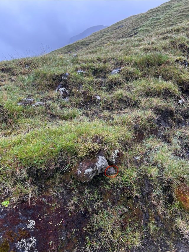Hand-painted penguin stone #1031 hidden at Toftafossur, Vandfald, Faroe Islands (photo 2 of 5)