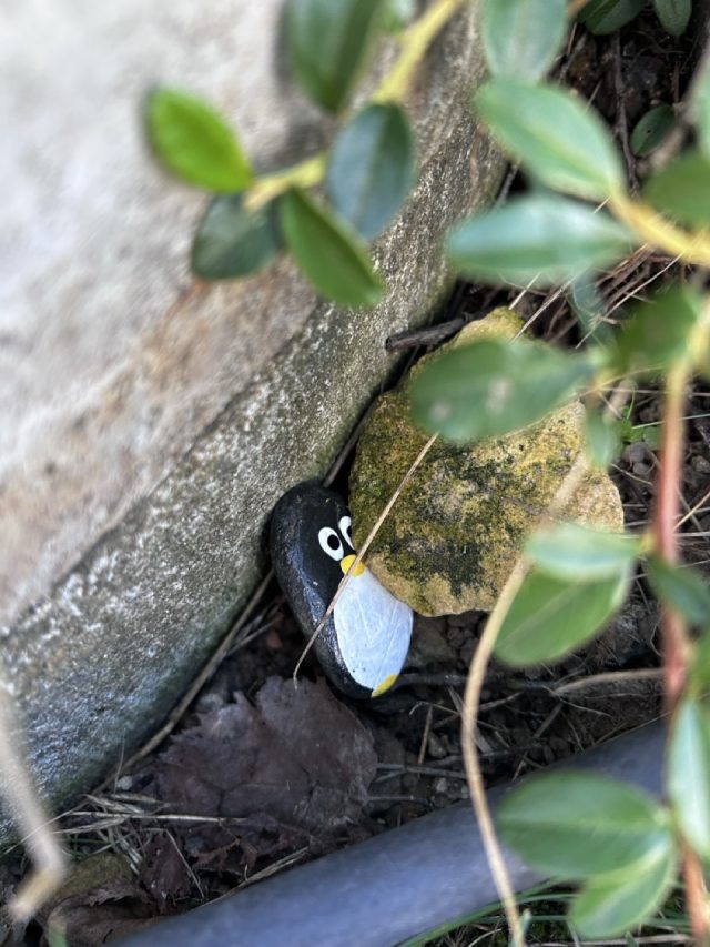 Hand-painted penguin stone #1033 hidden at Energylandia, Zator, Poland (photo 2 of 5)