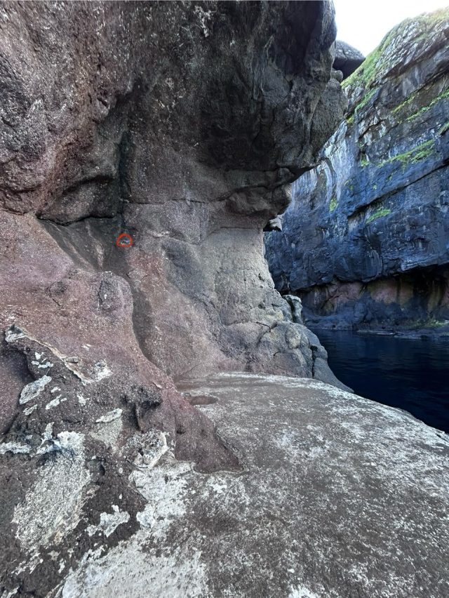 Hand-painted penguin stone #1050 hidden at Gorge Elduvik, Elduvik, Faroe Islands (photo 3 of 5)