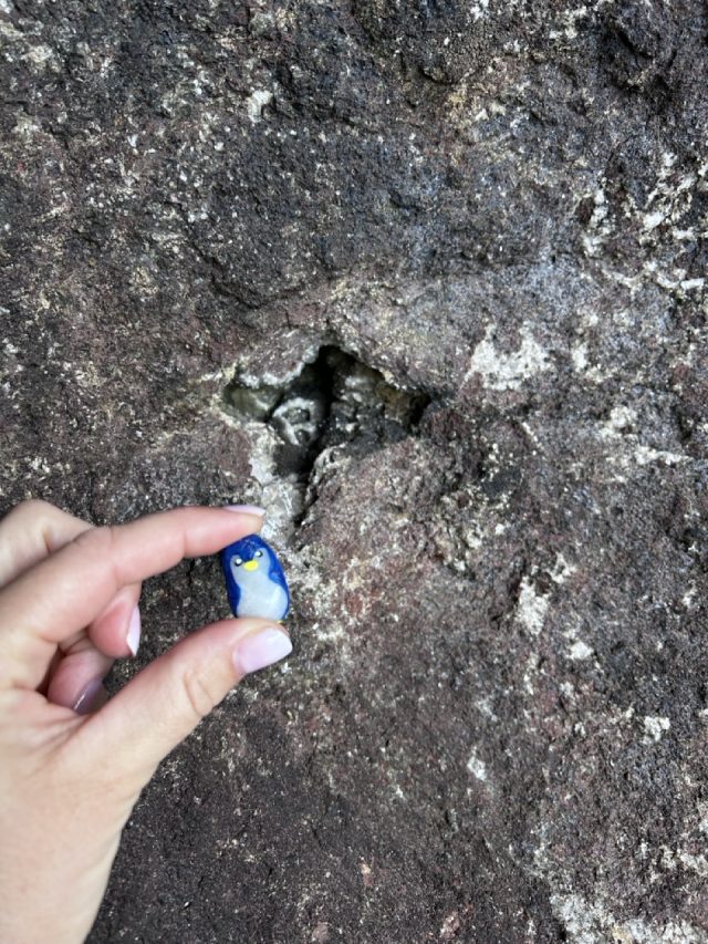 Hand-painted penguin stone #1050 hidden at Gorge Elduvik, Elduvik, Faroe Islands (photo 4 of 5)