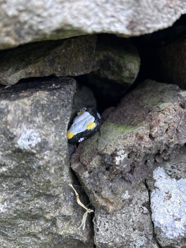 Hand-painted penguin stone #1066 hidden at Sandavags Kirkja, Sandavagur, Faroe Islands (photo 3 of 5)