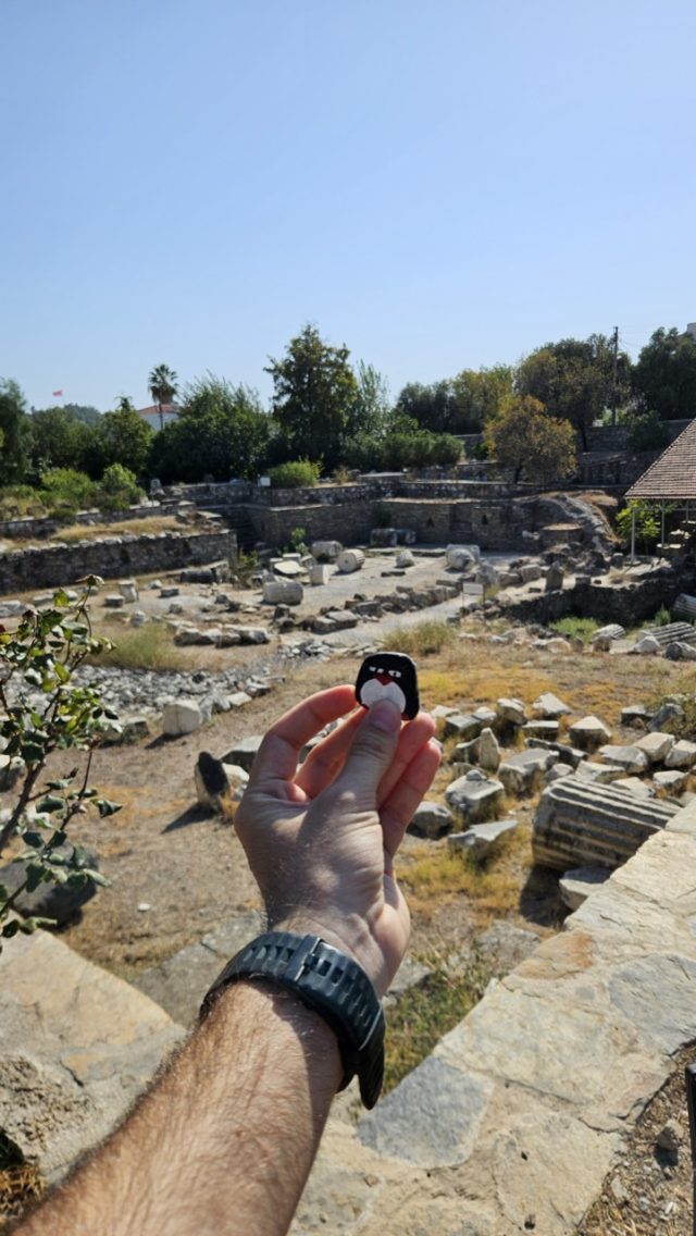 Hand-painted penguin stone #131 hidden at Mausoleum at Halicarnassus, Bodrum, Turkiye (photo 5 of 5)