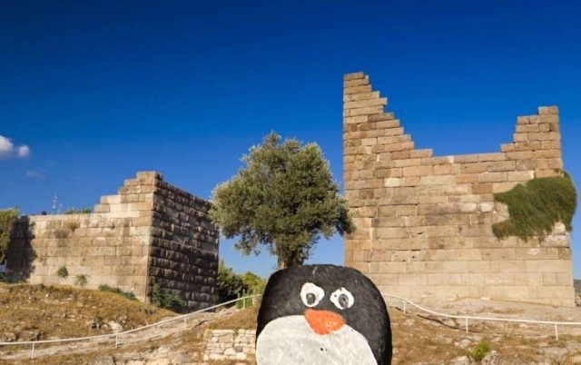 Hand-painted penguin stone #365 hidden at Myndos Gate, Bodrum, Turkiye (photo 4 of 5)