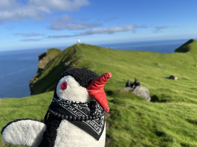 Hand-painted penguin stone #40 hidden at Rock between the Kallur Lighthouse and James Bond Headstone, Kallur Lighthouse Hike, Faroe Islands (photo 3 of 5)