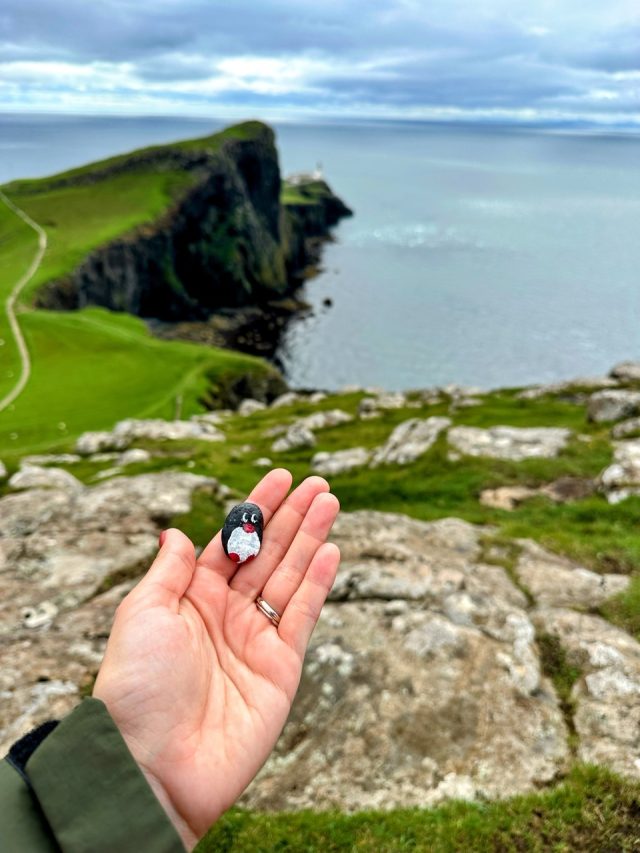 Hand-painted penguin stone #430 hidden at Neist Point, Cliff Lighthouse Viewpoint, United Kingdom (photo 4 of 5)