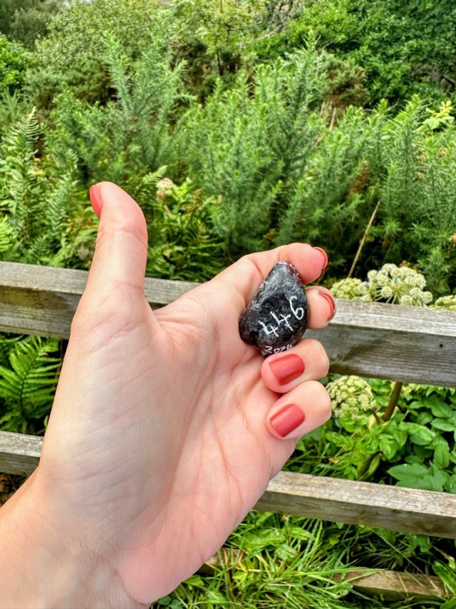 Hand-painted penguin stone #446 hidden at Eilen Donan Lookout, Dornie, United Kingdom (photo 4 of 5)