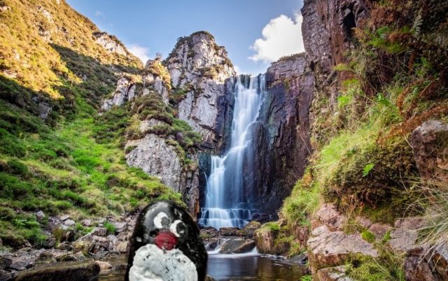 Ručne maľovaný tučniakový kameň č. 459 ukrytý na mieste Allt Chranaidh Waterfall, Lairg, Spojené kráľovstvo