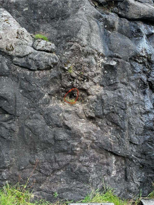 Hand-painted penguin stone #488 hidden at Bakkagota, Tjornuvik, Faroe Islands (photo 3 of 5)