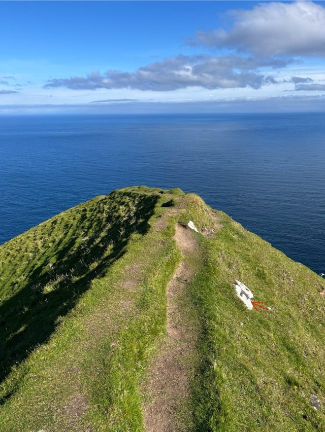 Hand-painted penguin stone #504 hidden at Cliff, Gjogv, Faroe Islands (photo 3 of 5)