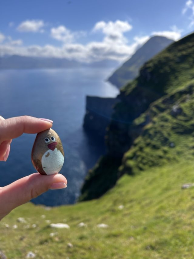 Hand-painted penguin stone #504 hidden at Cliff, Gjogv, Faroe Islands (photo 5 of 5)