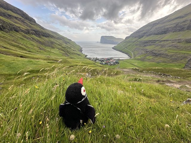 Hand-painted penguin stone #511 hidden at Trail Marking, Tjornuvik, Faroe Islands (photo 5 of 5)