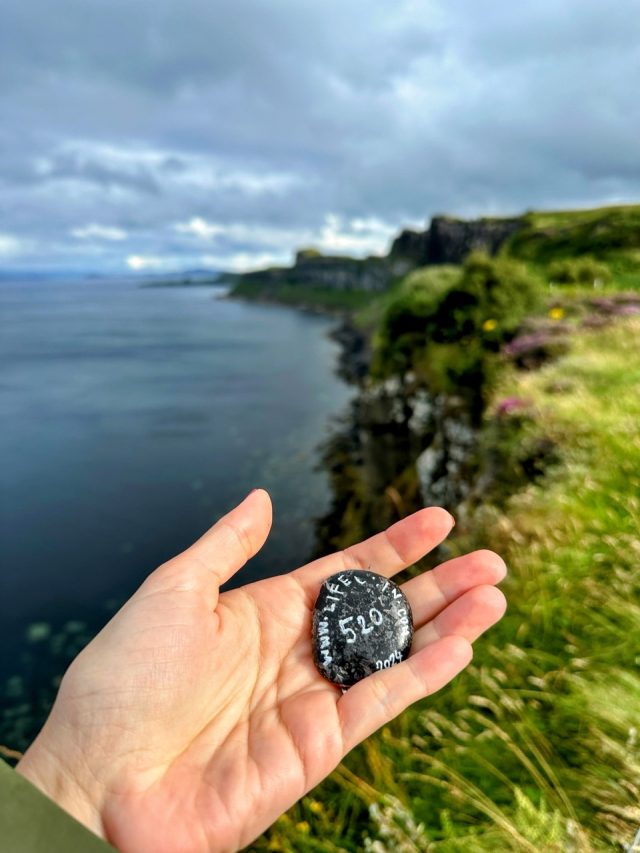 Hand-painted penguin stone #520 hidden at Kilt Rock Waterfall, Elishader, United Kingdom (photo 3 of 5)