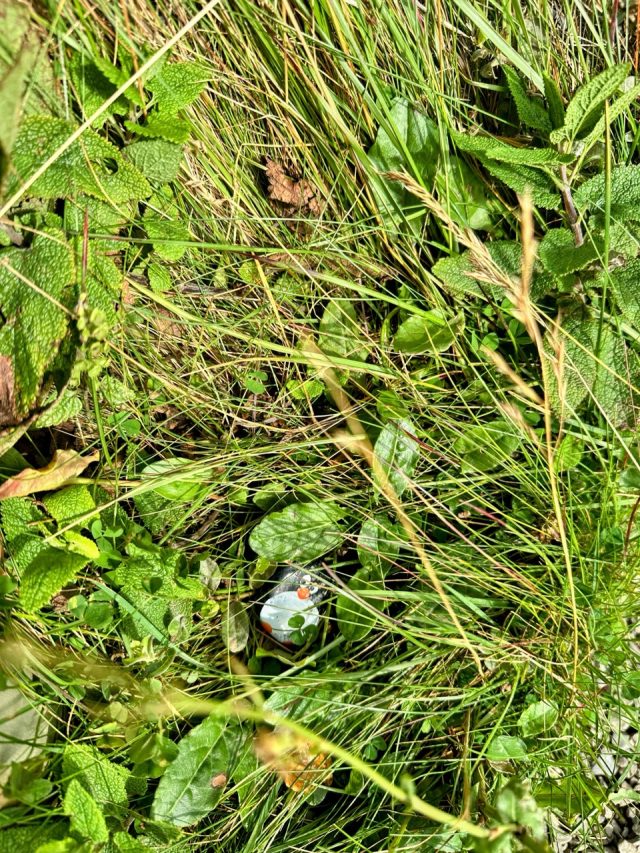 Hand-painted penguin stone #520 hidden at Kilt Rock Waterfall, Elishader, United Kingdom (photo 4 of 5)