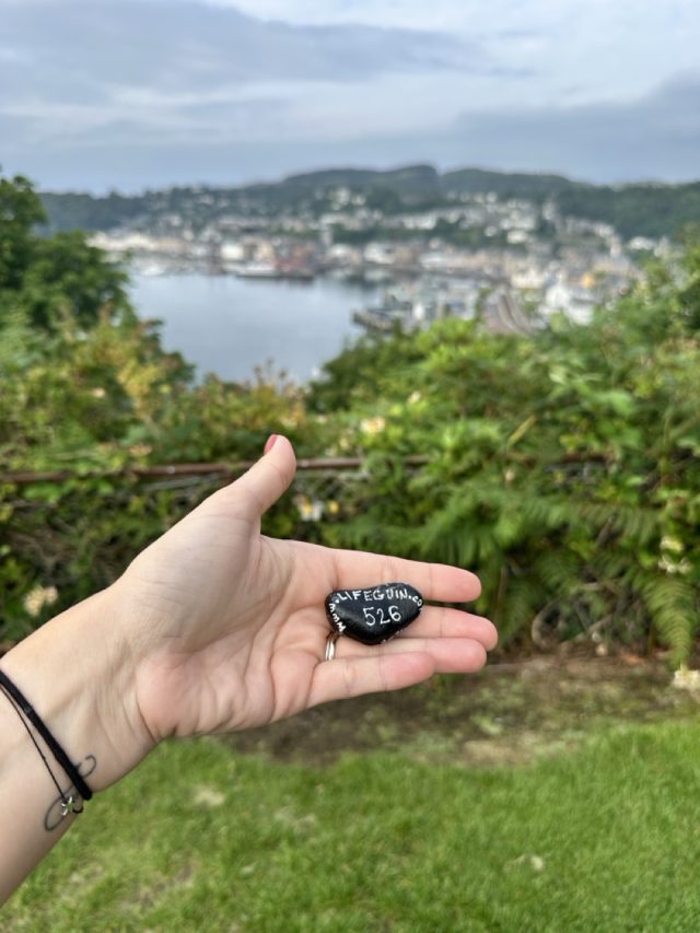 Hand-painted penguin stone #526 hidden at Pulpit Hill Viewpoint, Oban, United Kingdom (photo 2 of 4)