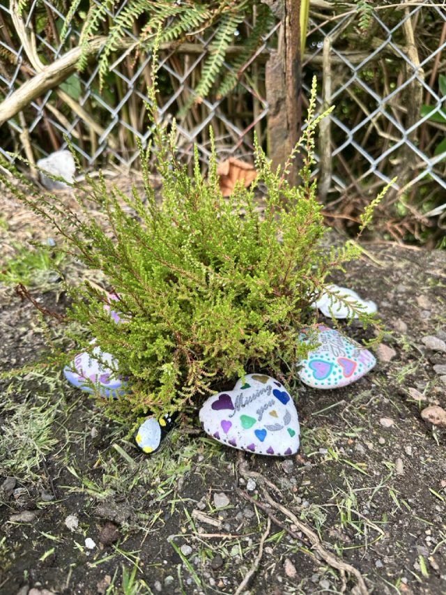 Hand-painted penguin stone #526 hidden at Pulpit Hill Viewpoint, Oban, United Kingdom (photo 4 of 4)