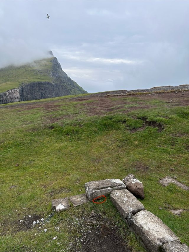Hand-painted penguin stone #528 hidden at Traelanipa, Vagar Island, Faroe Islands (photo 2 of 5)