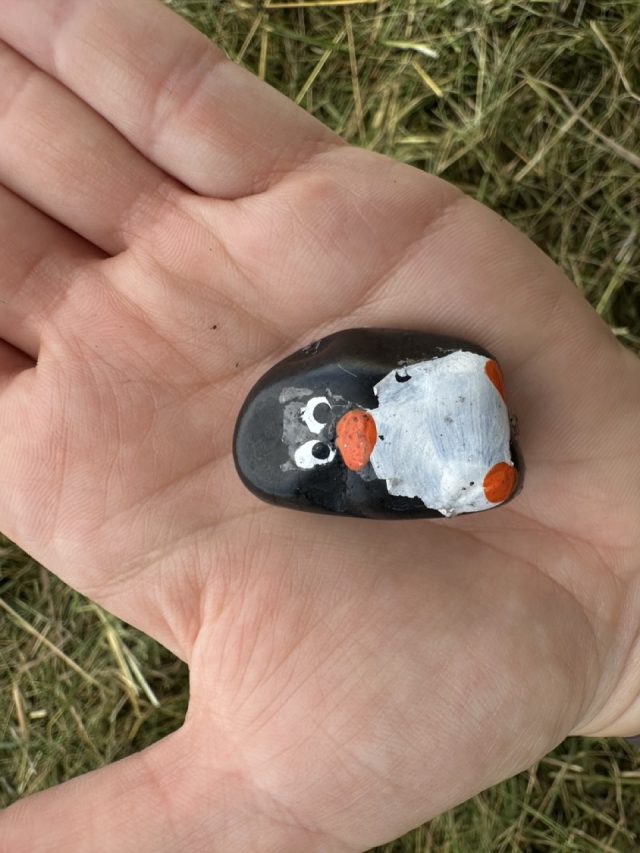 Hand-painted penguin stone #529 hidden at Deer Feeder, Chmelnica, Slovakia (photo 2 of 5)